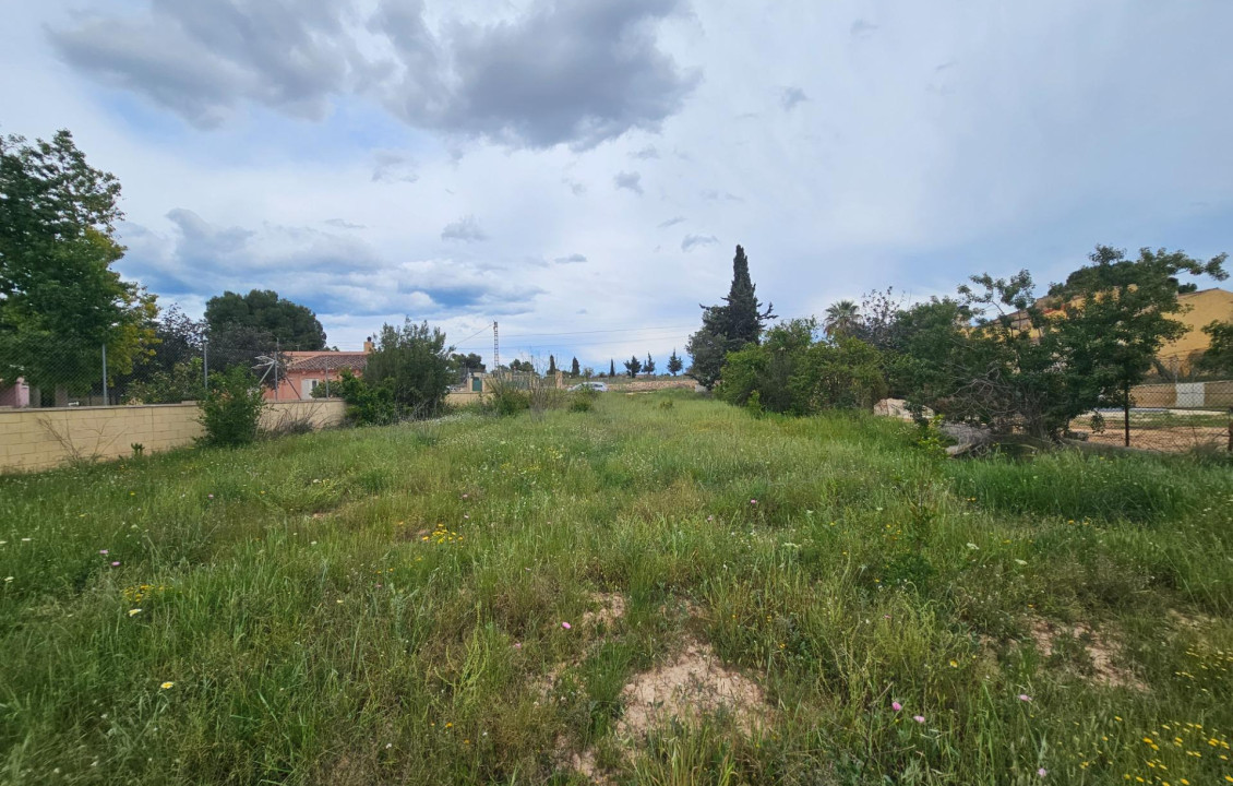 For Sale - urban plot - Valverde (Alicante) - Valverde