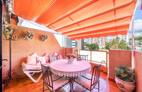 Venta - Piso - Benidorm - Poniente