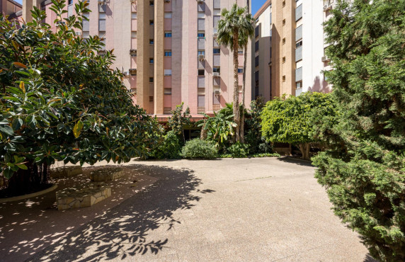 Venta - Piso - Benidorm - Poniente