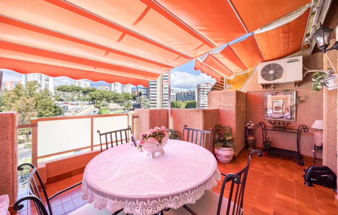 Venta - Piso - Benidorm - Poniente