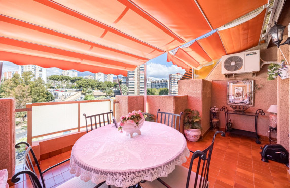 Venta - Piso - Benidorm - Poniente