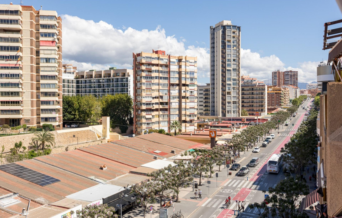 Venta - Piso - Benidorm - Poniente