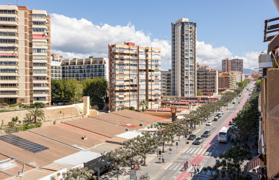 Venta - Piso - Benidorm - Poniente