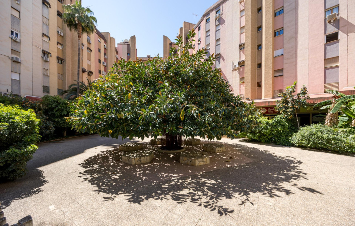 Venta - Piso - Benidorm - Poniente
