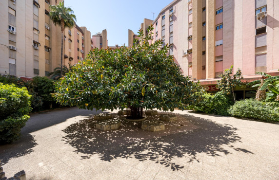 Venta - Piso - Benidorm - Poniente