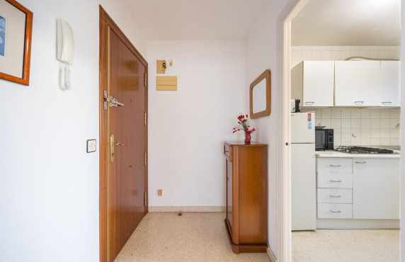 Venta - Piso - Benidorm - Hotel Bali