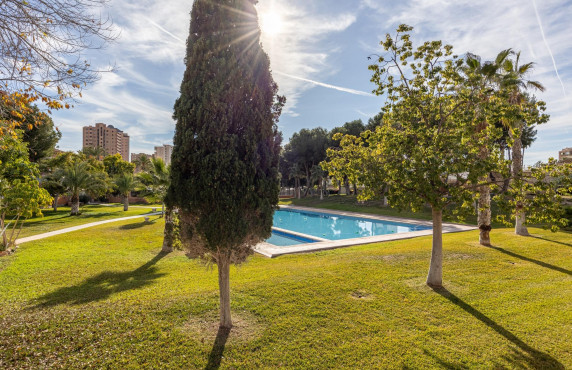 Venta - Piso - Benidorm - Hotel Bali
