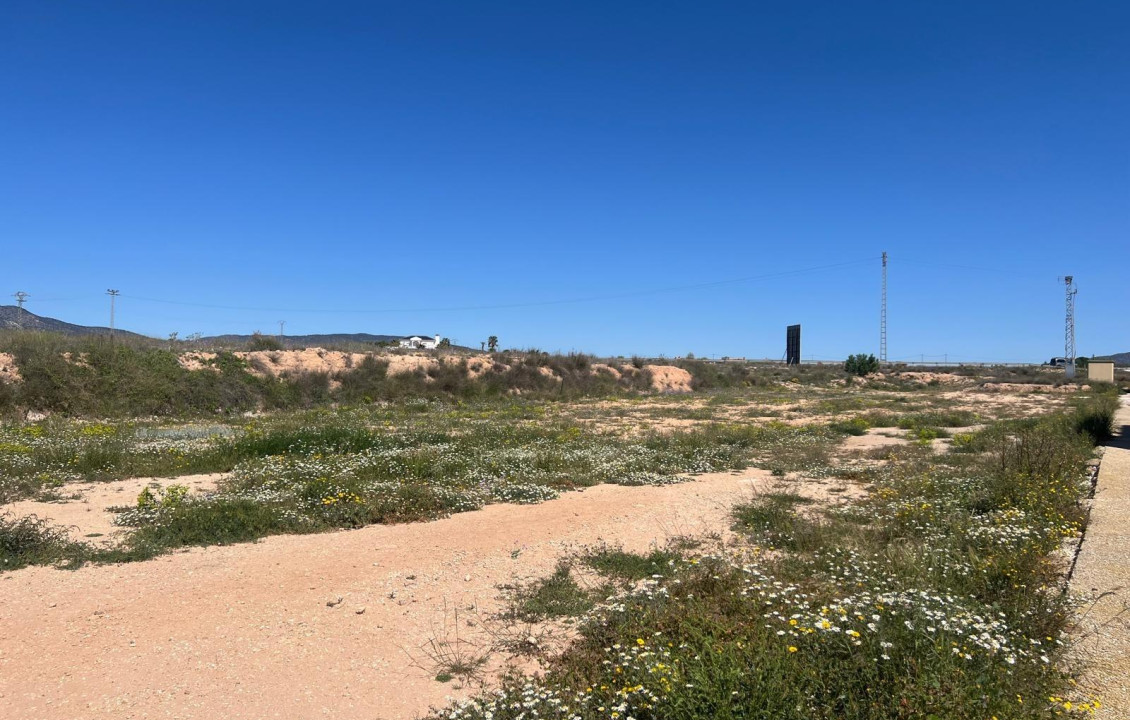 Venta - urban plot - Pinoso - A 1 km de pinoso