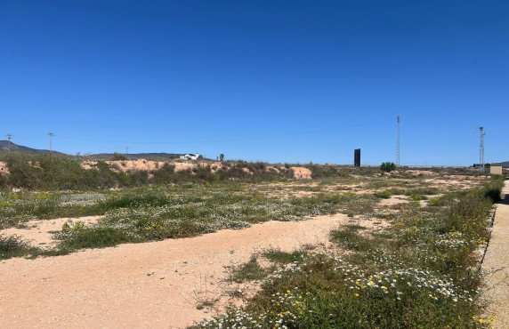 Venta - urban plot - Pinoso - A 1 km de pinoso