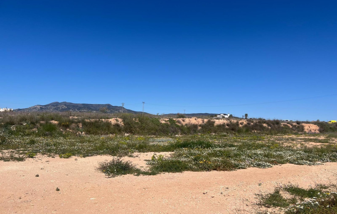 Venta - urban plot - Pinoso - A 1 km de pinoso