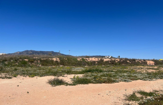 Venta - urban plot - Pinoso - A 1 km de pinoso