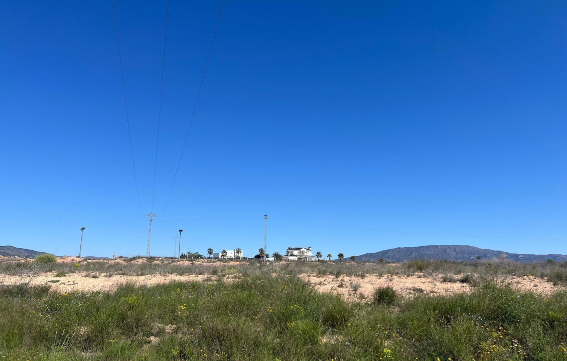Venta - urban plot - Pinoso - A 1 km de pinoso