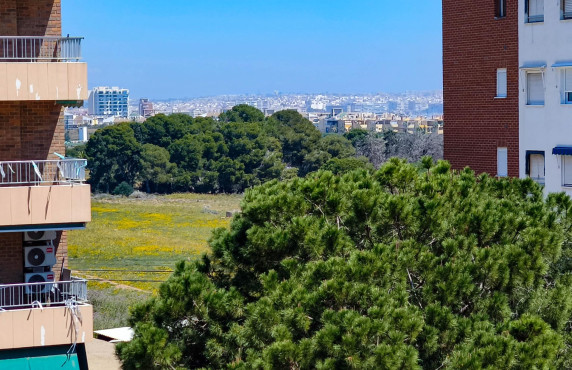 For Sale - Flat - Torrevieja - Punta Prima