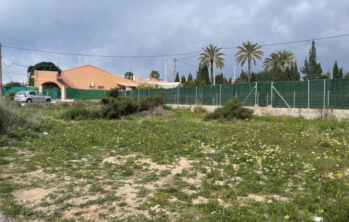 Venta - urban plot - Elche pedanias - Matola