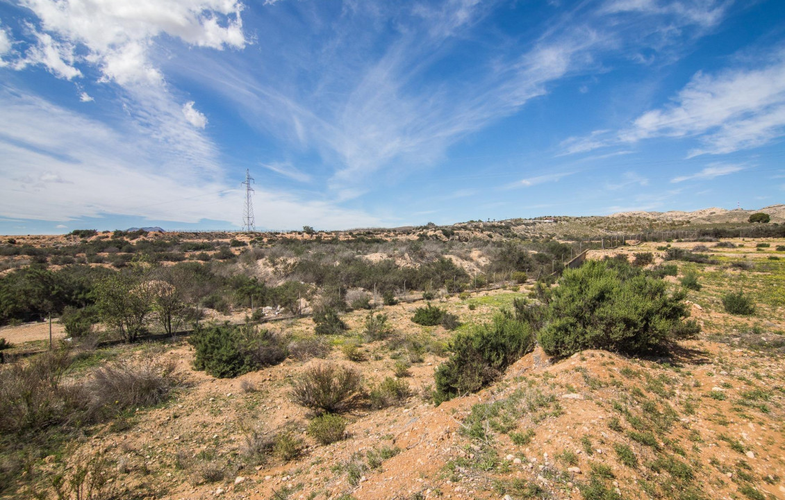 Venta - house - Elche - La Galia-Bonavista
