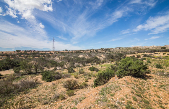 Venta - house - Elche - La Galia-Bonavista