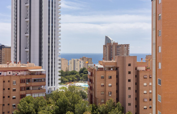 For Sale - Flat - Benidorm - Hotel Bali