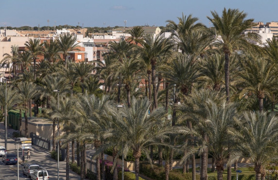 For Sale - Flat - Santa Pola - Norte