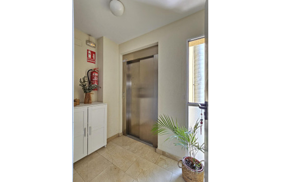 For Sale - penthouse - San Vicente del Raspeig - Centro
