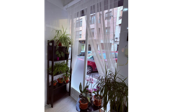 Long Rental Period - Business - Elche - Centro