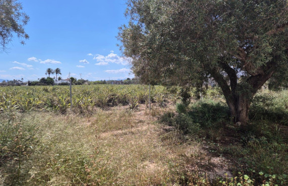 For Sale - Country house - Las bayas - Las Bayas-Asprillas