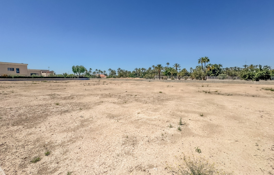 For Sale - Plot - Elche pedanias - Alzabares