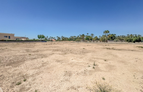 For Sale - Plot - Elche pedanias - Alzabares