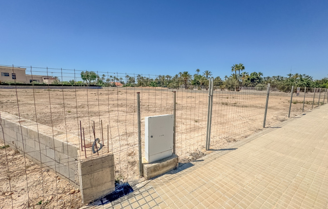 For Sale - Plot - Elche pedanias - Alzabares