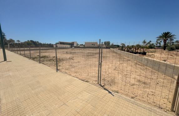 For Sale - Plot - Elche pedanias - Alzabares