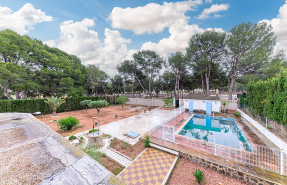 For Sale - villa - Aspe - Ctra de hondon de las nieves