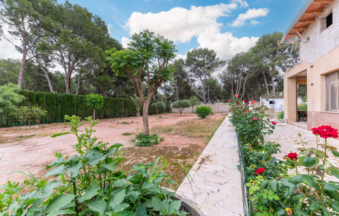For Sale - villa - Aspe - Ctra de hondon de las nieves