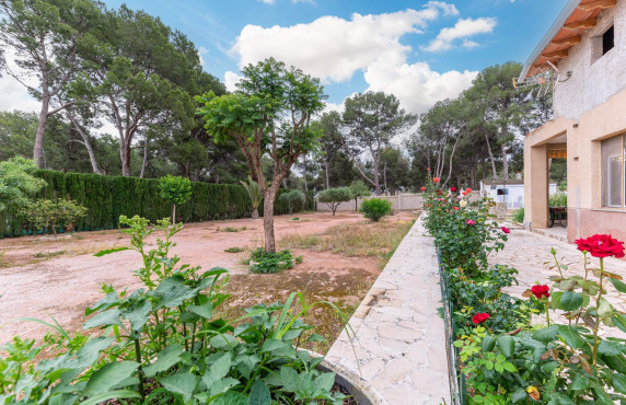 For Sale - villa - Aspe - Ctra de hondon de las nieves