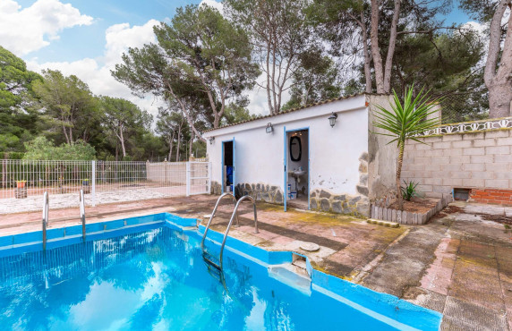 For Sale - villa - Aspe - Ctra de hondon de las nieves