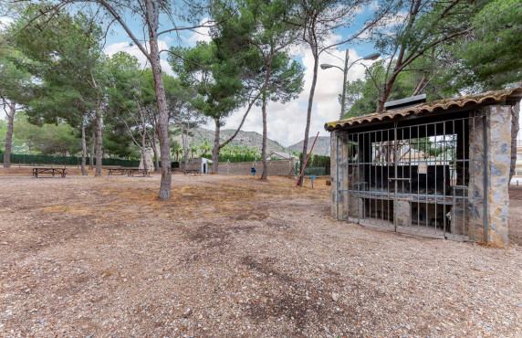 For Sale - villa - Aspe - Ctra de hondon de las nieves