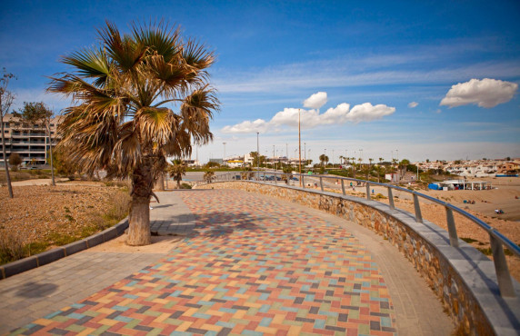Venta - Piso - Pilar de la Horadada - Torre de la Horadada