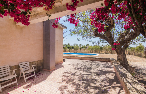 For Sale - villa - Elche - La Galia-Bonavista