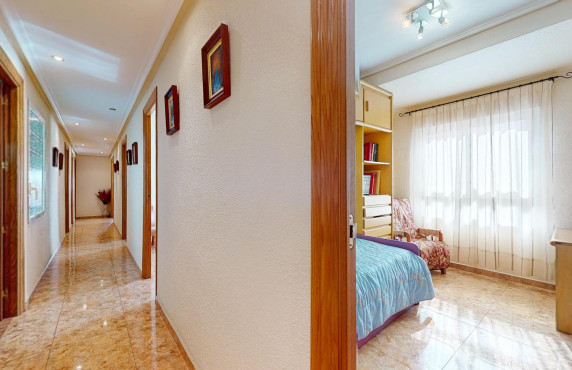 Venta - Piso - Elche - Asilo - Pisos Azules