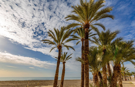 Venta - duplex - Santa Pola - Playa Levante