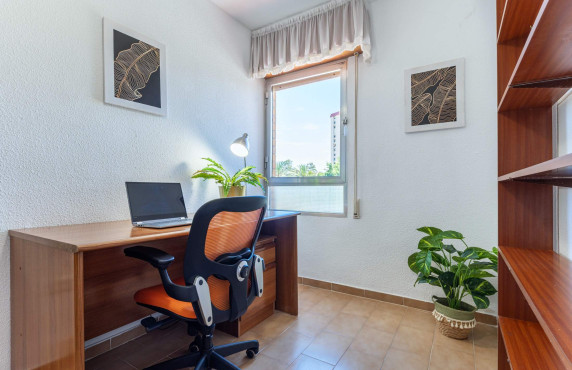 For Sale - Flat - San Juan Playa - Cabo de las Huertas