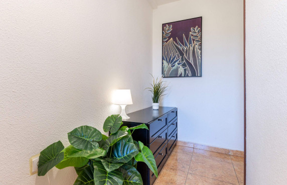For Sale - Flat - San Juan Playa - Cabo de las Huertas