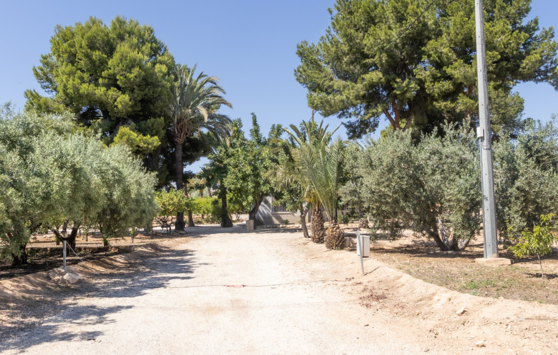 For Sale - Chalet - Elche pedanias - La galia