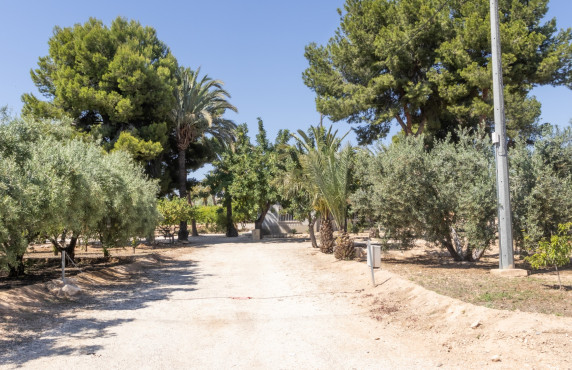For Sale - Chalet - Elche pedanias - La galia