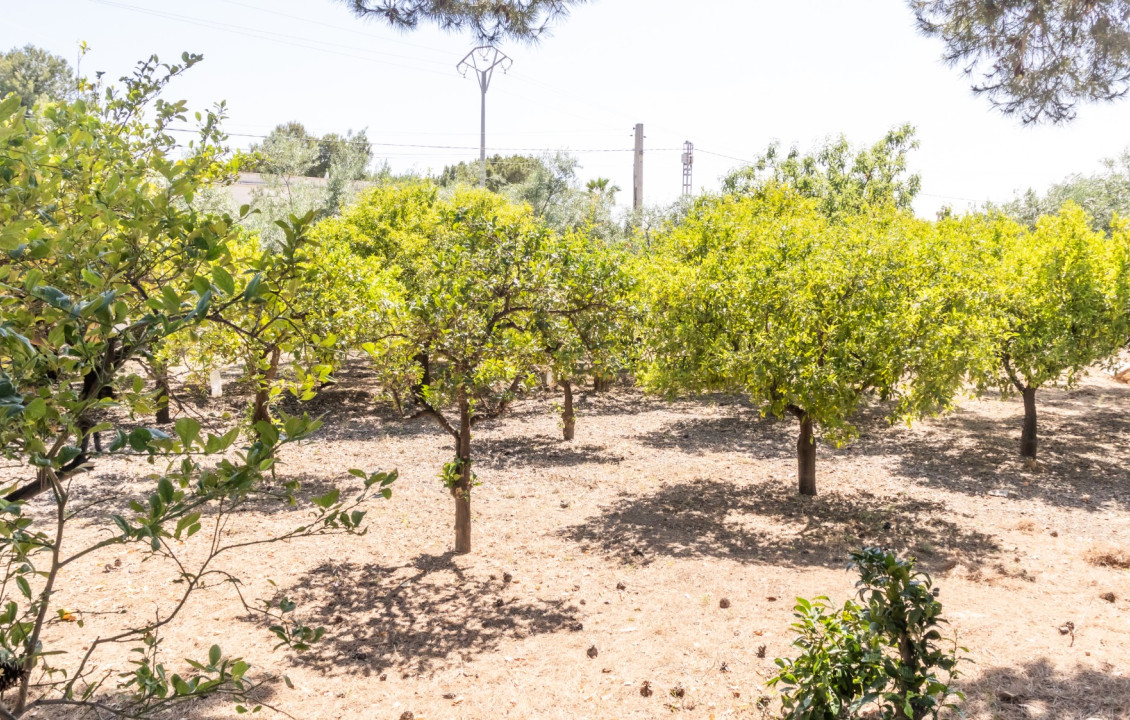 For Sale - Chalet - Elche pedanias - La galia