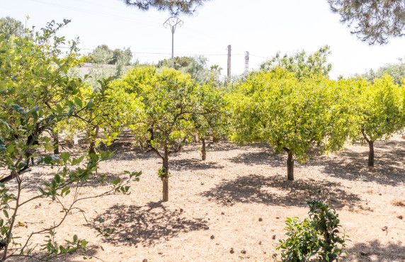 For Sale - Chalet - Elche pedanias - La galia