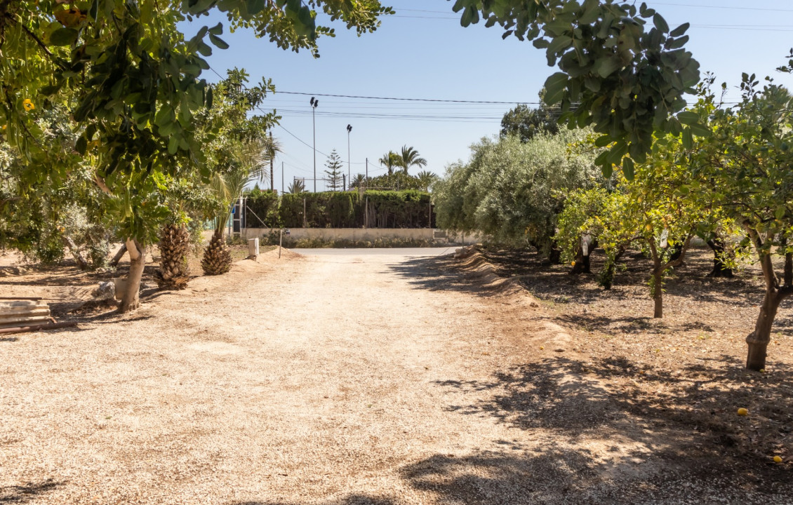 For Sale - Chalet - Elche pedanias - La galia