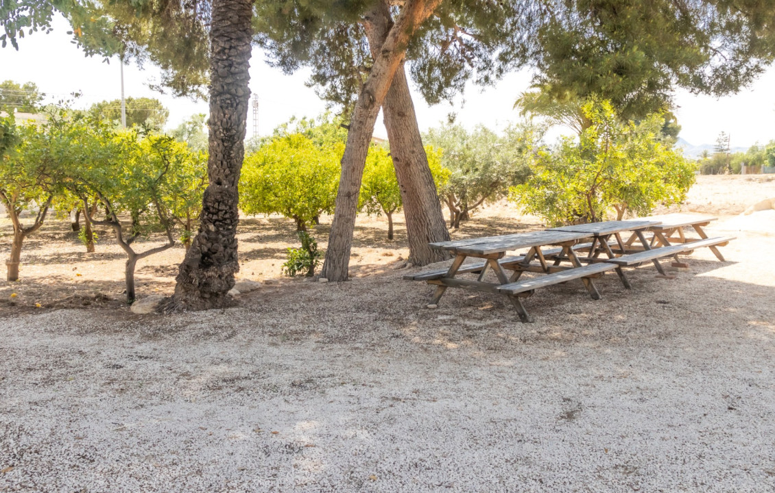 For Sale - Chalet - Elche pedanias - La galia