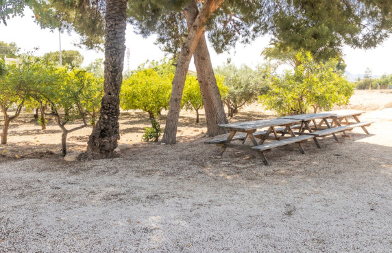 For Sale - Chalet - Elche pedanias - La galia