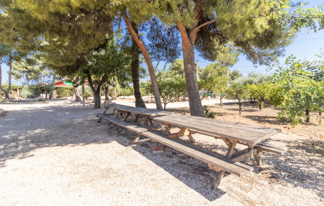 For Sale - Chalet - Elche pedanias - La galia