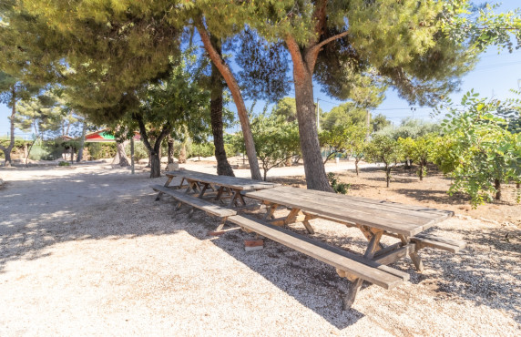 For Sale - Chalet - Elche pedanias - La galia