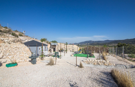 Venta - Parcela - Pinoso - CULEBRON